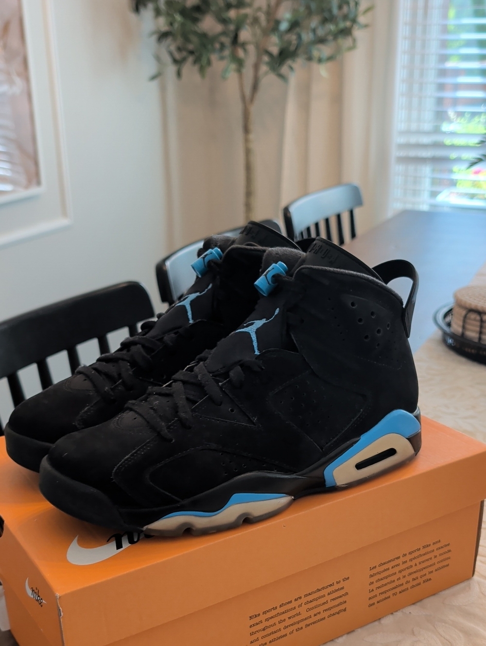 Jordan 6 University Blue - Size 8